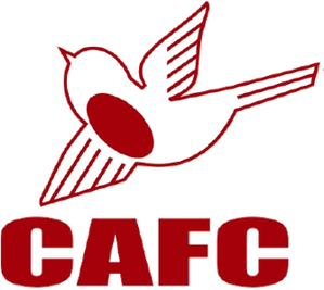 AFC温布顿U23